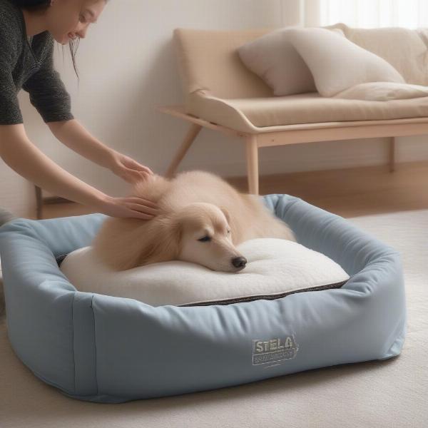 A person easily removing the cover of a Stella dog bed for washing