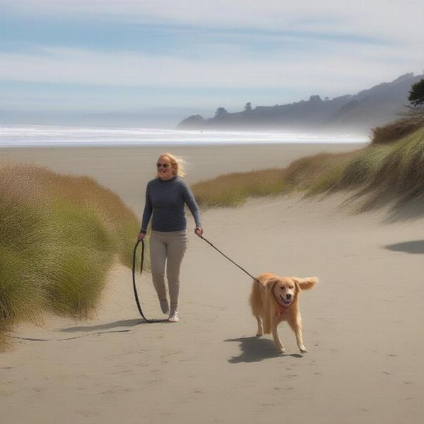 Dog on leash at Stinson Beach