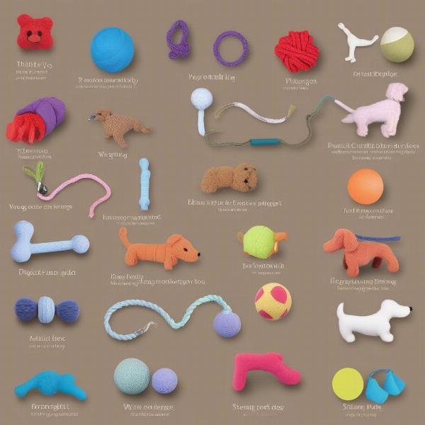 Types of Stretchy Dog Toys