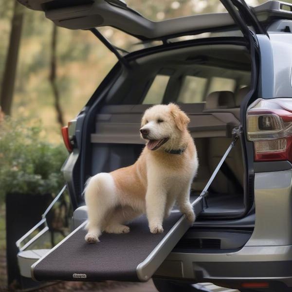 Benefits of using a Subaru dog ramp