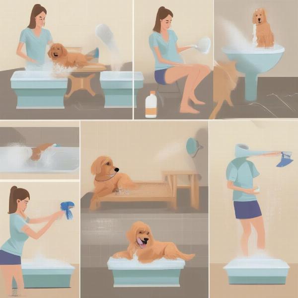 Bathing Your Dog Correctly