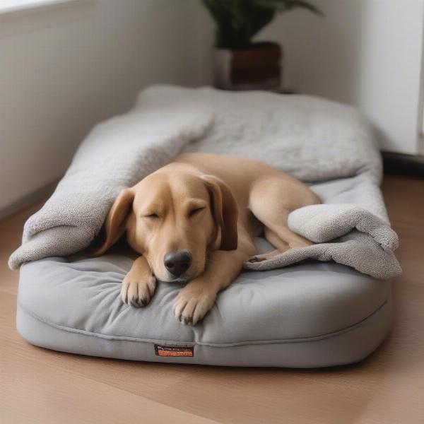 Replacing a dog bed cover is more economical