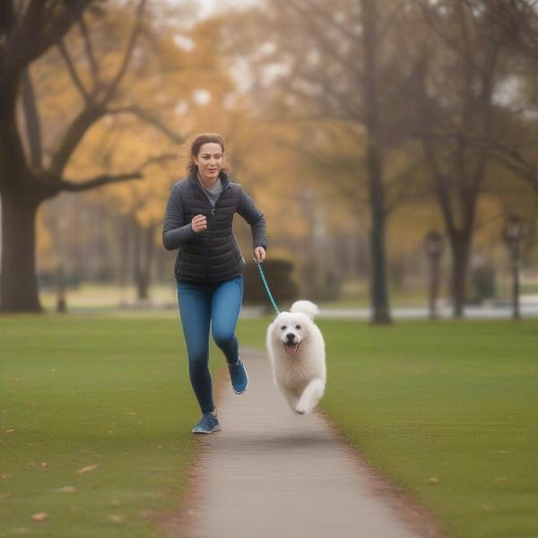 Dog training with a 10ft leash