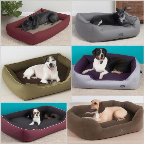 Types of 28x42 Inch Dog Beds