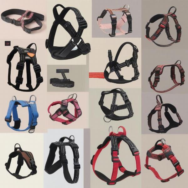 Types of Custom Dog Harnesses