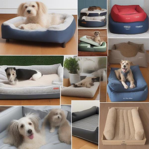 Different Types of Durable Dog Beds