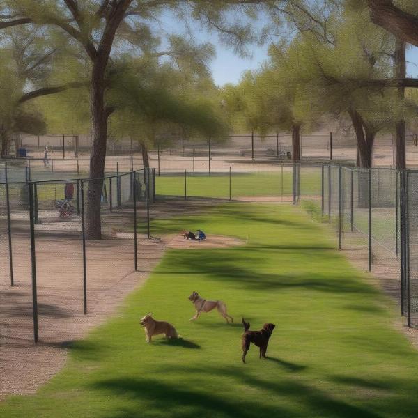 Udall Dog Park Overview