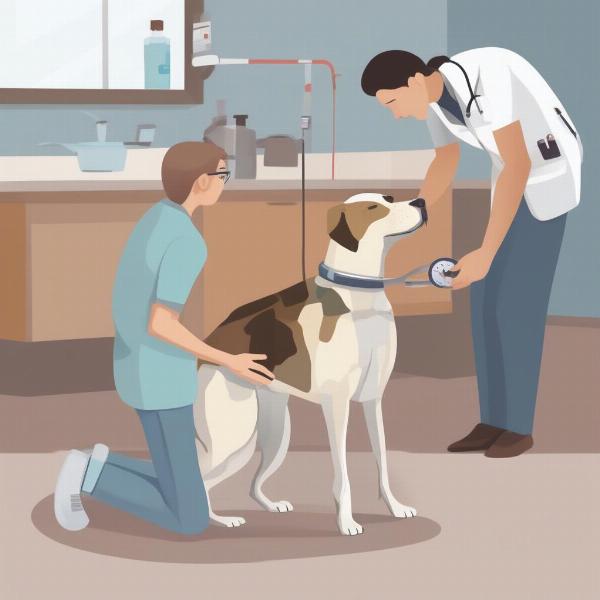 Veterinarian Examining a Dog