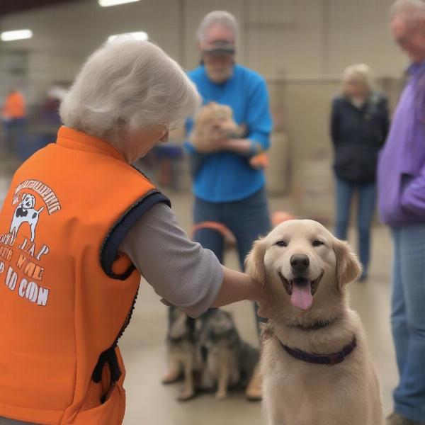 Vinton County Dog Pound Adoption Process