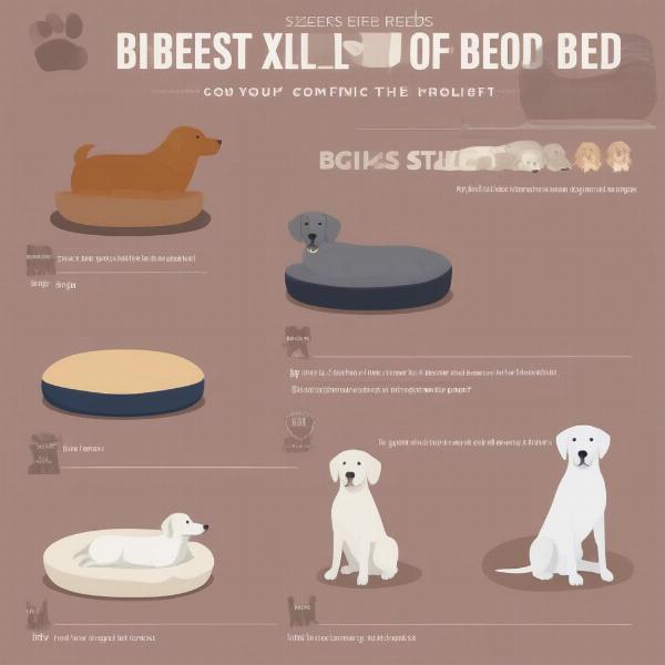 XL Dog Bed Size Guide